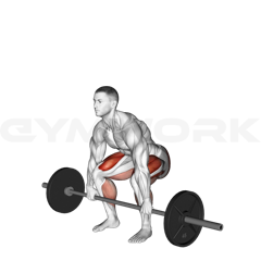 Conventional Deadlift