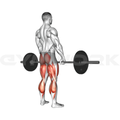 Deadlift