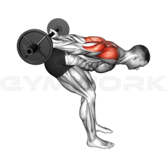 Reverse Barbell Raise