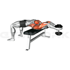 Dumbbell Pullover