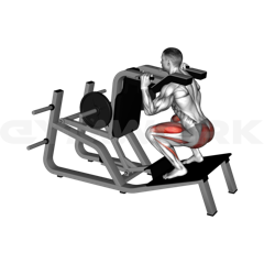 Reverse V Squat