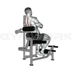 Back Extension Machine