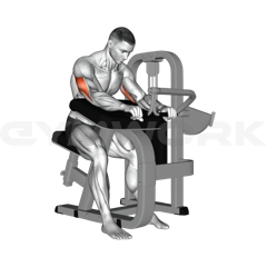 Triceps Extension Machine