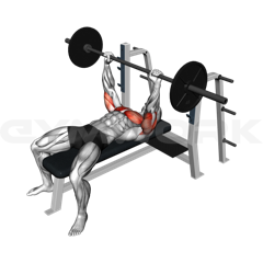 Bench Press