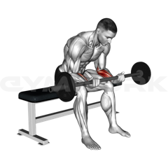 Barbell Wrist Curl