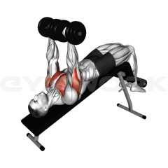 Decline Dumbbell Press