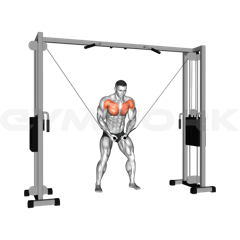 Decline Cable Fly