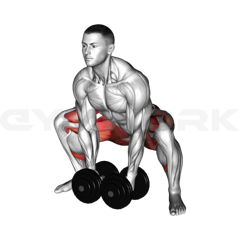 Dumbbell Squat