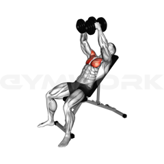 Incline Dumbbell Fly