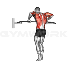 Muscle Up