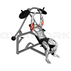 Incline Bench Press Machine