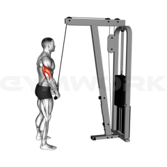 Cable Rope Pushdown