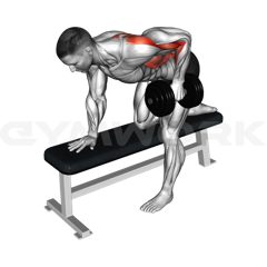 Single-Arm Dumbbell Row