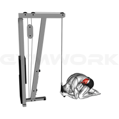 Cable Crunch