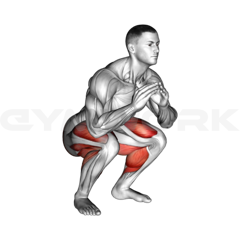 Jump Squat
