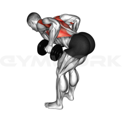 Dumbbell Row
