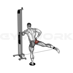 Cable Leg Kickback