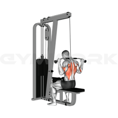 Behind Lat Pulldown