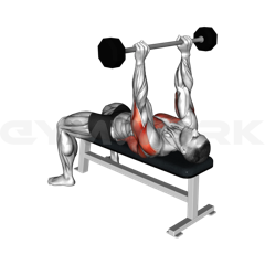Barbell Pullover