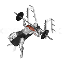 Wide Grip Bench Press