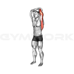 Overhead Triceps Stretch