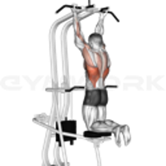 Assisted Chin-Up