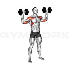 Alternate Dumbbell Shoulder Press