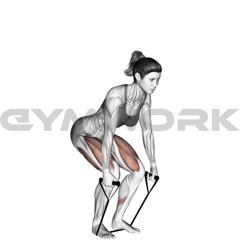Band Deadlift