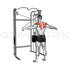 Cable Reverse Fly