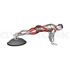 Bosu Ball Mountain Climber