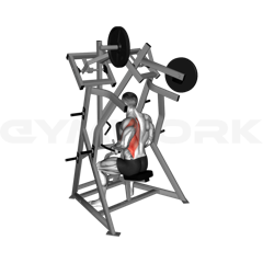 Single-Arm Low Row