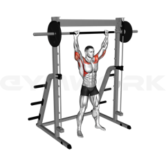 Smith Military Press