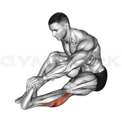 Legs Stretching