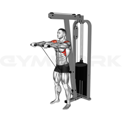 Cable Front Raise