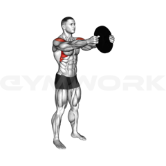 Plate Front Raise
