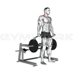 Machine Shrugs