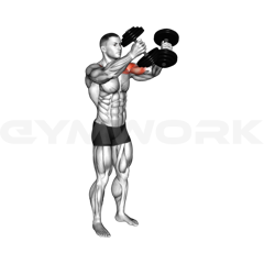 Dumbbell Upper Fly