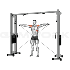 Cable Side Lateral Raise