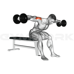 Seated Dumbbell Bent-Over Lateral Raise
