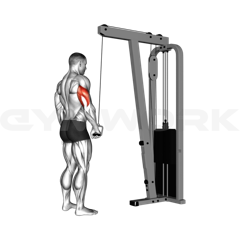 Single-Arm Cable Pushdown