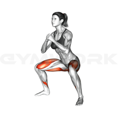 Bodyweight Squat