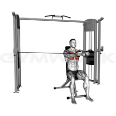 Seated Cable Fly Press