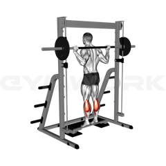 Smith Machine Calf Raise