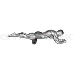Foam Roll Quadriceps