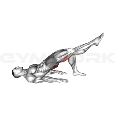 SIngle-Leg Bridge