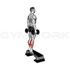 Standing Calf Raise