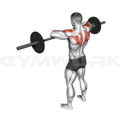 Barbell Upright Row