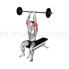 Seated Triceps Extension