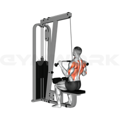 Lat pulldown