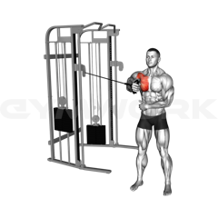 Single-Arm Cable Fly
